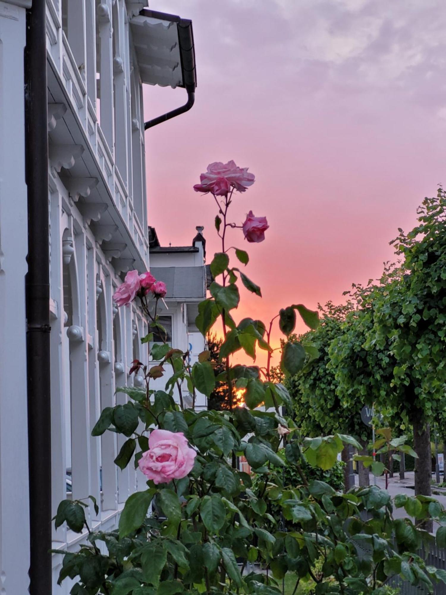 Hotel Villa Meeresgruss Binz Esterno foto